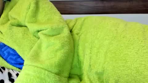 Snapshot of 00ingrid00 chatting on November 7, 1:38 am 00ingrid00 online show from November 7, 1:38 am