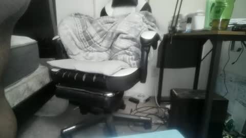 11inchtattedtrinibad online show from February 17, 9:50 am