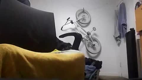 Snapshot of 16025834916 chatting on December 19, 10:02 am 623-302-4866 azlivin online show from December 19, 10:02 am