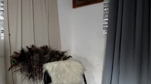 Snapshot of 18_nicole chatting on February 8, 1:58 pm barbie online show from February 8, 1:58 pm