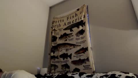 18str8igcock online show from November 1, 10:56 pm