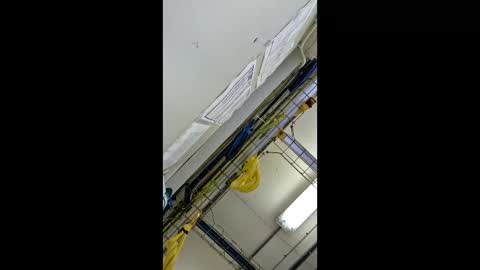 Snapshot of 1971berliner chatting on February 24, 12:03 pm 1971berliner online show from February 24, 12:03 pm