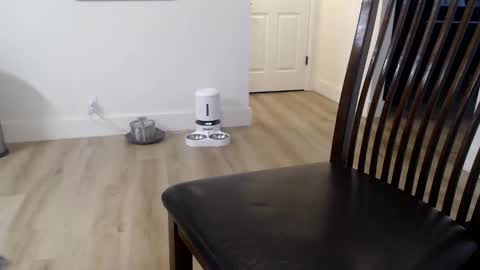 i erupt if you suck ur nipples 4 me and look at the camera while watching me online show from November 9, 2:59 pm