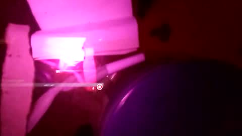 Snapshot of 1st___ chatting on November 25, 8:58 am 1st___ online show from November 25, 8:58 am