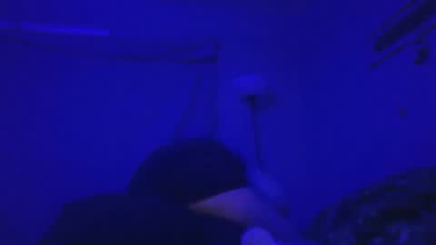 20dollarsis20 online show from March 26, 10:21 am