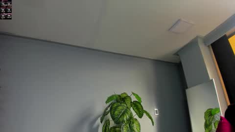 2_fire online show from November 6, 8:54 pm