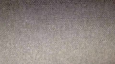 30nick online show from February 12, 7:25 am