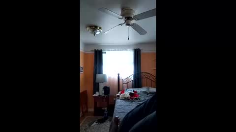 32666damon online show from December 14, 6:23 pm