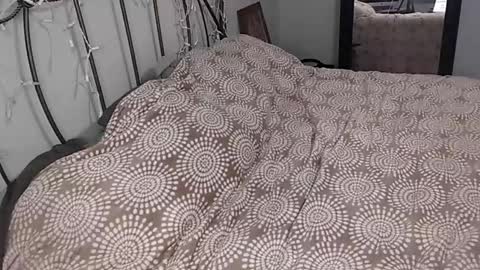 Snapshot of 420kc_couple chatting on May 30, 1:08 pm KC420Couple online show from May 30, 1:08 pm