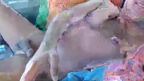 Daddy online show from November 17, 10:59 pm