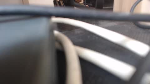 Snapshot of 64293boy chatting on January 13, 12:43 pm 64293boy online show from January 13, 12:43 pm