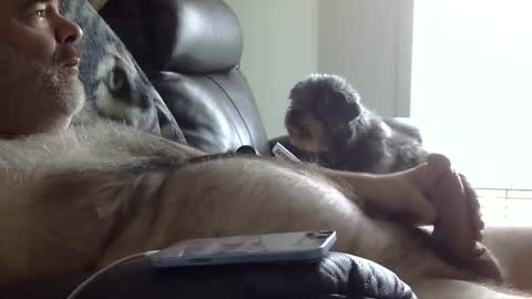 Snapshot of 66bear chatting on May 31, 2:24 pm 66bear online show from May 31, 2:24 pm
