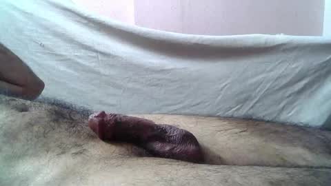 Snapshot of 9_incher_83 chatting on May 16, 12:18 am Massive hungry cock online show from May 16, 12:18 am