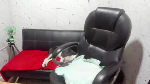 Snapshot of _ace_ventura chatting on March 7, 5:04 am ---- online show from March 7, 5:04 am