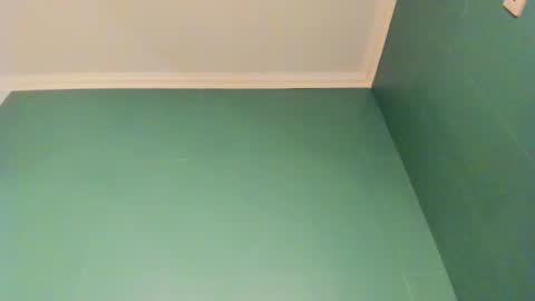 Snapshot of _ashley_collin_ chatting on November 24, 3:06 am Sofia online show from November 24, 3:06 am