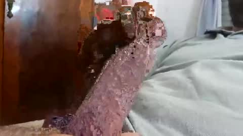 Snapshot of _black_horse_1 chatting on December 4, 2:43 am _black_horse_1 online show from December 4, 2:43 am