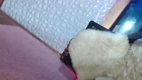 Snapshot of _caroline69 chatting on January 19, 1:55 pm Caroline online show from January 19, 1:55 pm