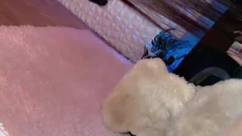 Snapshot of _caroline69 chatting on March 8, 6:32 am Caroline online show from March 8, 6:32 am