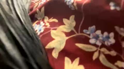 Snapshot of _catalina_linda_ok chatting on October 26, 6:41 am _catalina_linda_ok online show from October 26, 6:41 am