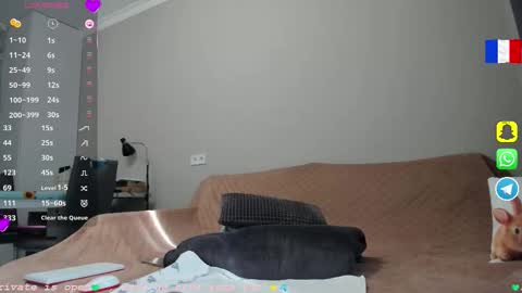 Snapshot of _coquine_ chatting on November 3, 8:37 am Sophie online show from November 3, 8:37 am