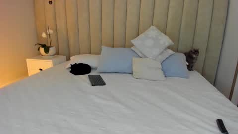 Snapshot of _dara_ chatting on February 1, 11:48 pm Dara online show from February 1, 11:48 pm