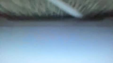 _direwolf_ online show from February 27, 10:59 am