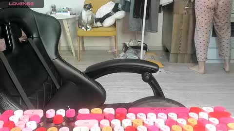 Alis online show from March 2, 7:15 am