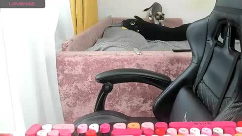 Snapshot of _feralberry__ chatting on June 26, 3:55 am Alis online show from June 26, 3:55 am