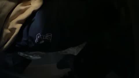 Snapshot of _ginger_boy chatting on December 2, 8:11 pm Ginger boy online show from December 2, 8:11 pm