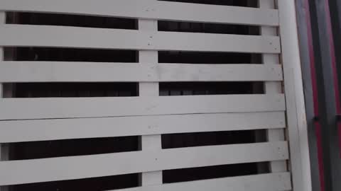 Snapshot of _hidden_frommymoom_ chatting on May 22, 12:33 pm Criss4u online show from May 22, 12:33 pm