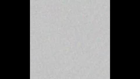 _maccaa_ online show from October 28, 11:58 am