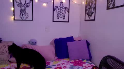 Snapshot of _marcela_wi chatting on January 18, 12:57 am Marce online show from January 18, 12:57 am