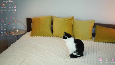 _million_dollarsmile online show from December 1, 12:43 pm