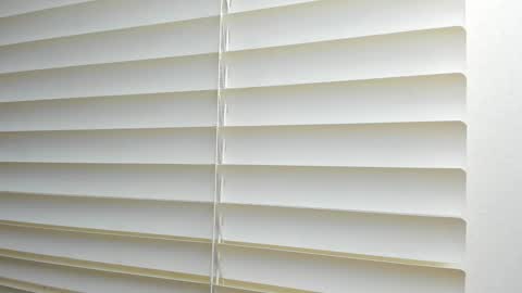 _molly_rosse_ online show from December 19, 12:12 pm