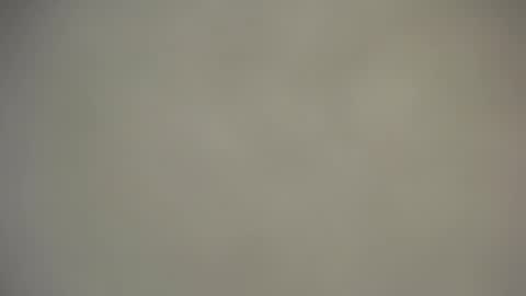 Nica online show from November 25, 9:09 am