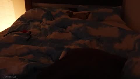 Snapshot of _sensualia_ chatting on September 9, 6:07 pm Lia online show from September 9, 6:07 pm