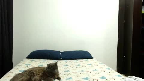 Sofia Parker online show from October 3, 4:37 pm