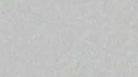 _tammarra_ online show from June 20, 8:11 pm