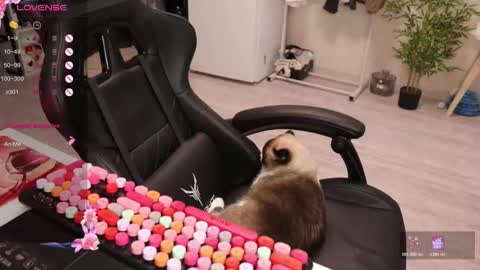 Snapshot of _viv1an_ chatting on December 15, 8:40 am Alis online show from December 15, 8:40 am