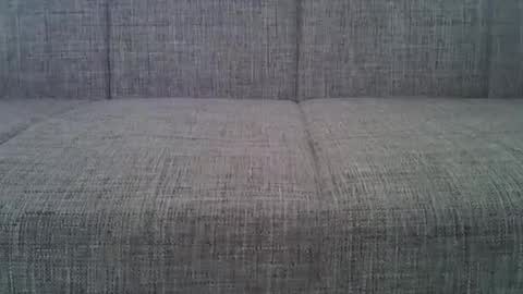 Snapshot of a7469 chatting on February 16, 11:27 am XXL online show from February 16, 11:27 am