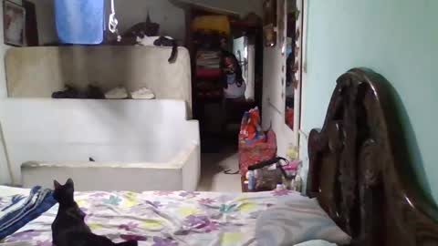 Snapshot of abbyasher chatting on January 26, 11:50 pm Abby online show from January 26, 11:50 pm