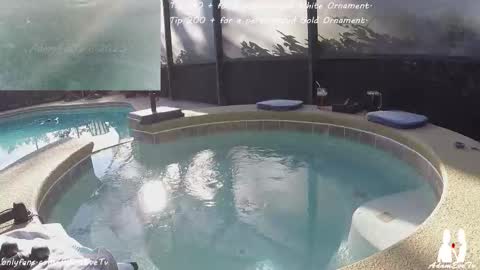 Snapshot of adamevetv chatting on December 20, 7:54 pm Adam And Eve online show from December 20, 7:54 pm