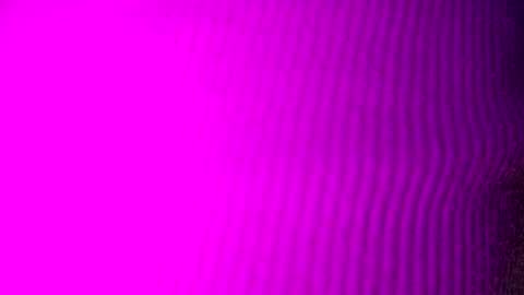 adamllamas online show from September 15, 4:56 am