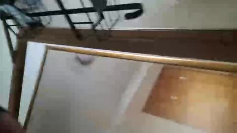 Snapshot of adamlucas54321s773712 chatting on October 8, 1:36 am adamlucas54321s773712 online show from October 8, 1:36 am