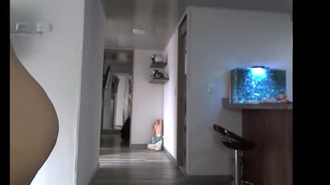 eva online show from February 10, 4:00 pm