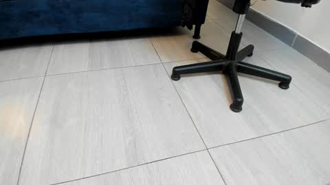 adbel sady online show from December 27, 11:06 am