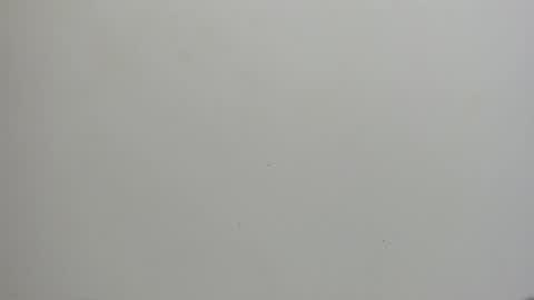 adbel sady online show from January 15, 11:10 am