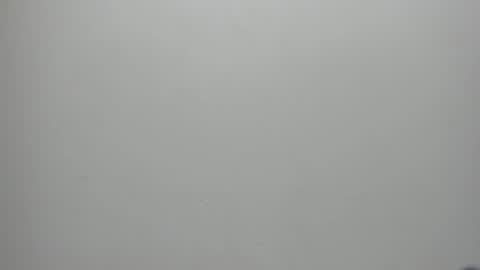 adbel sady online show from January 17, 11:17 am