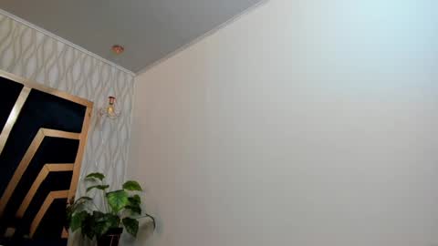 adbel sady online show from January 20, 11:24 am