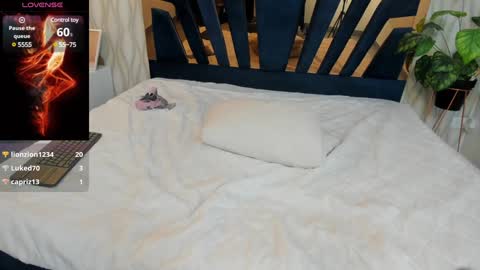 adbel sady online show from February 1, 2:13 pm